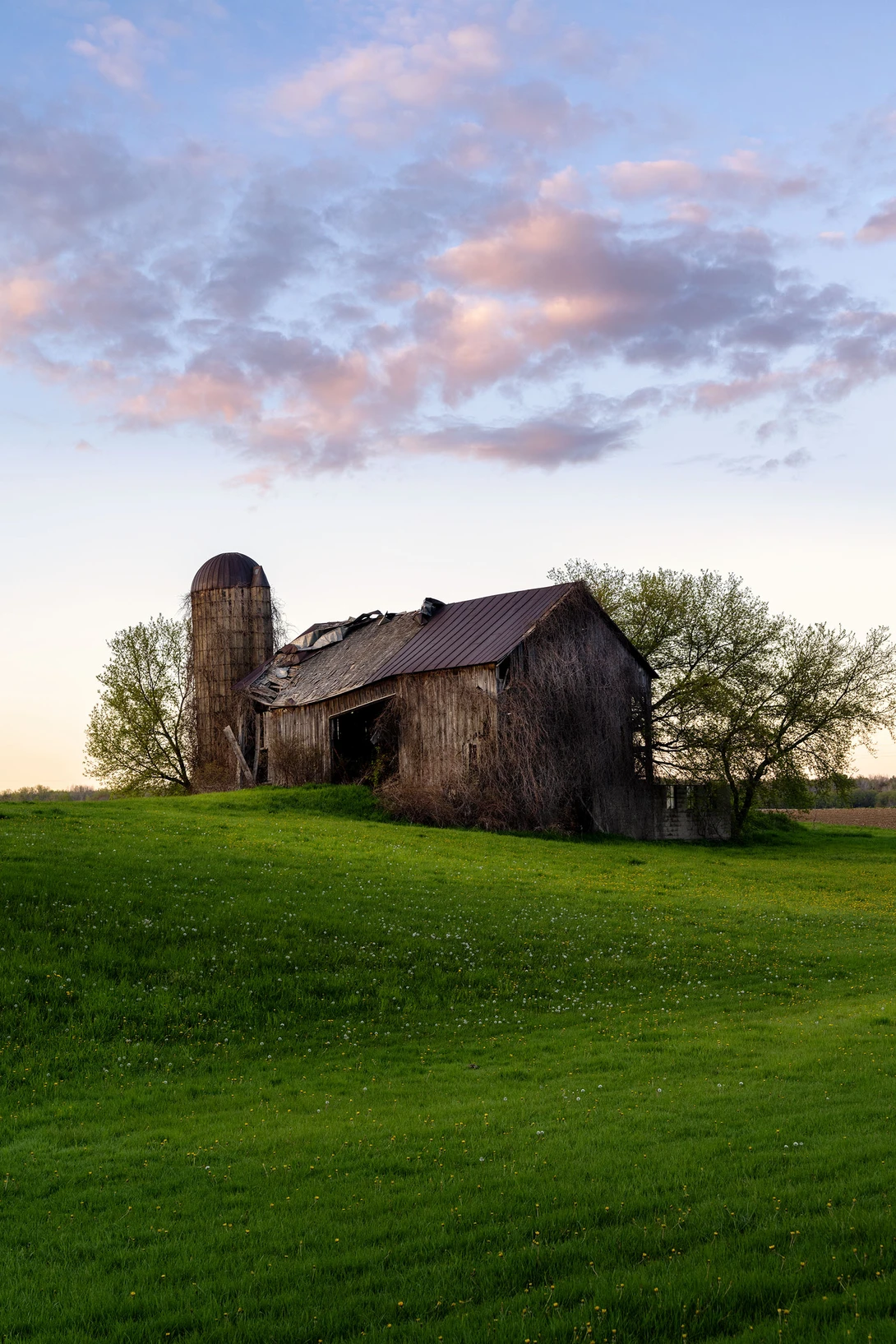 View Old Barn, Sanilac County, Michigan by Mark Houston