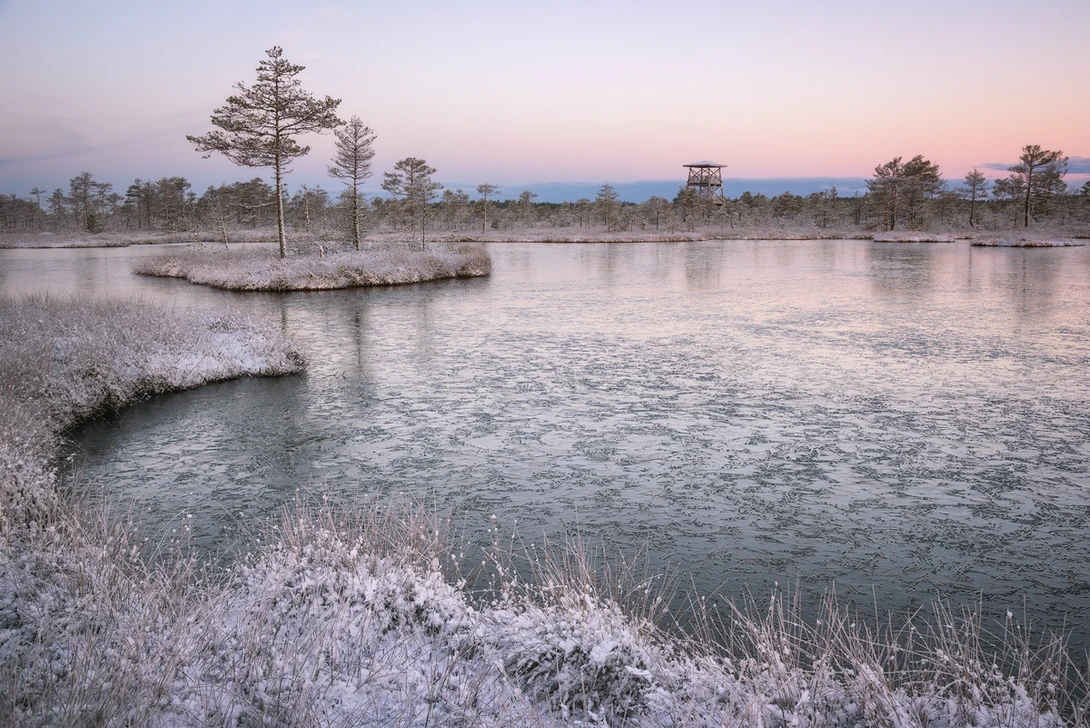 View First Snow by Imre Aunapuu