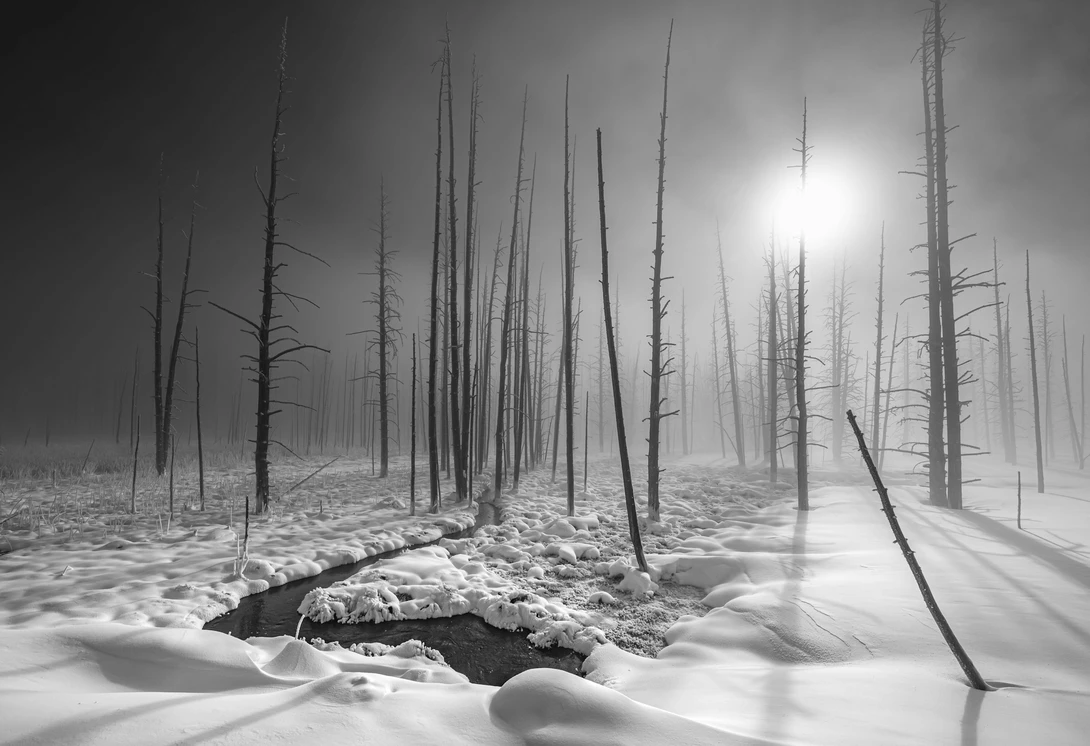 View Cold Smoke at Tangled Creek by Tom Egel