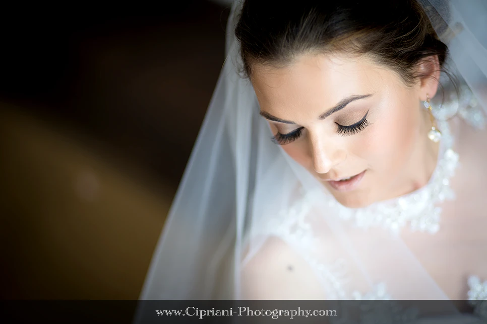 View bd6ccfd075af8aebd589fe85b5375e52.png by Cipriani Rusu