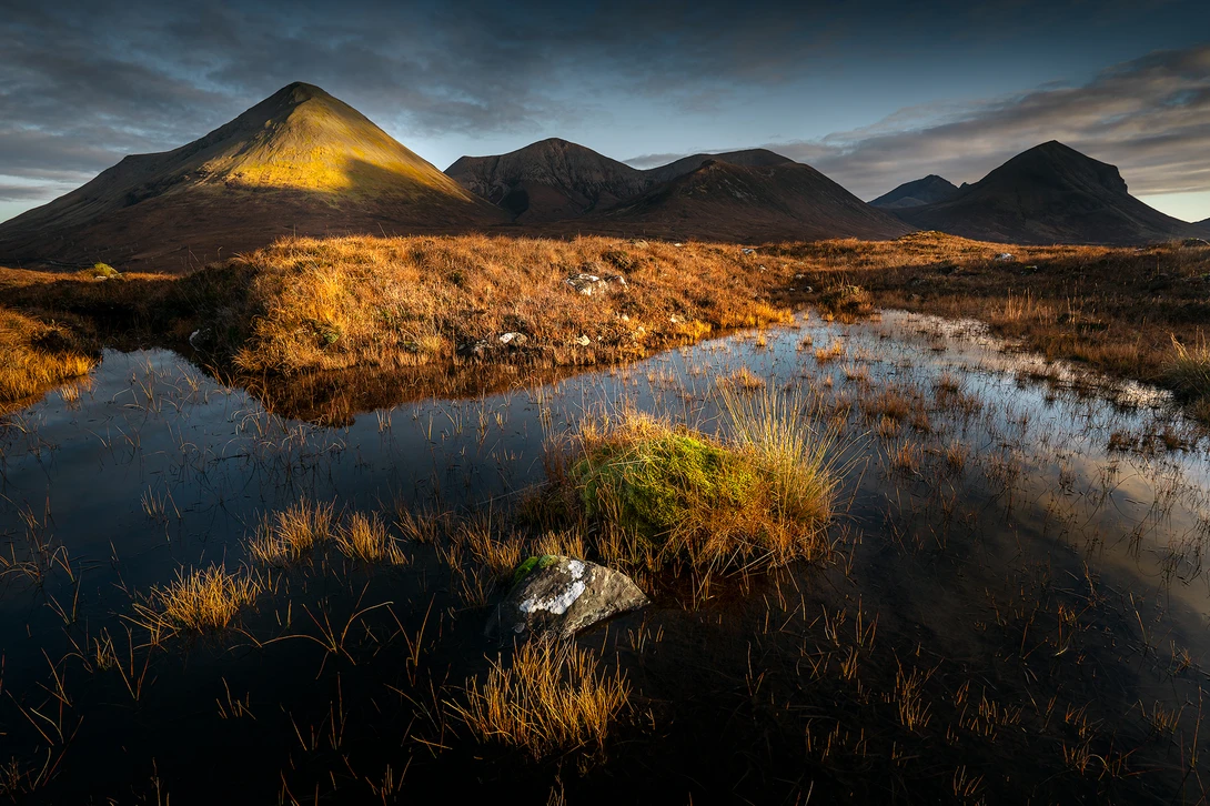 View A warm evening in a swamp. by Anthony Robin