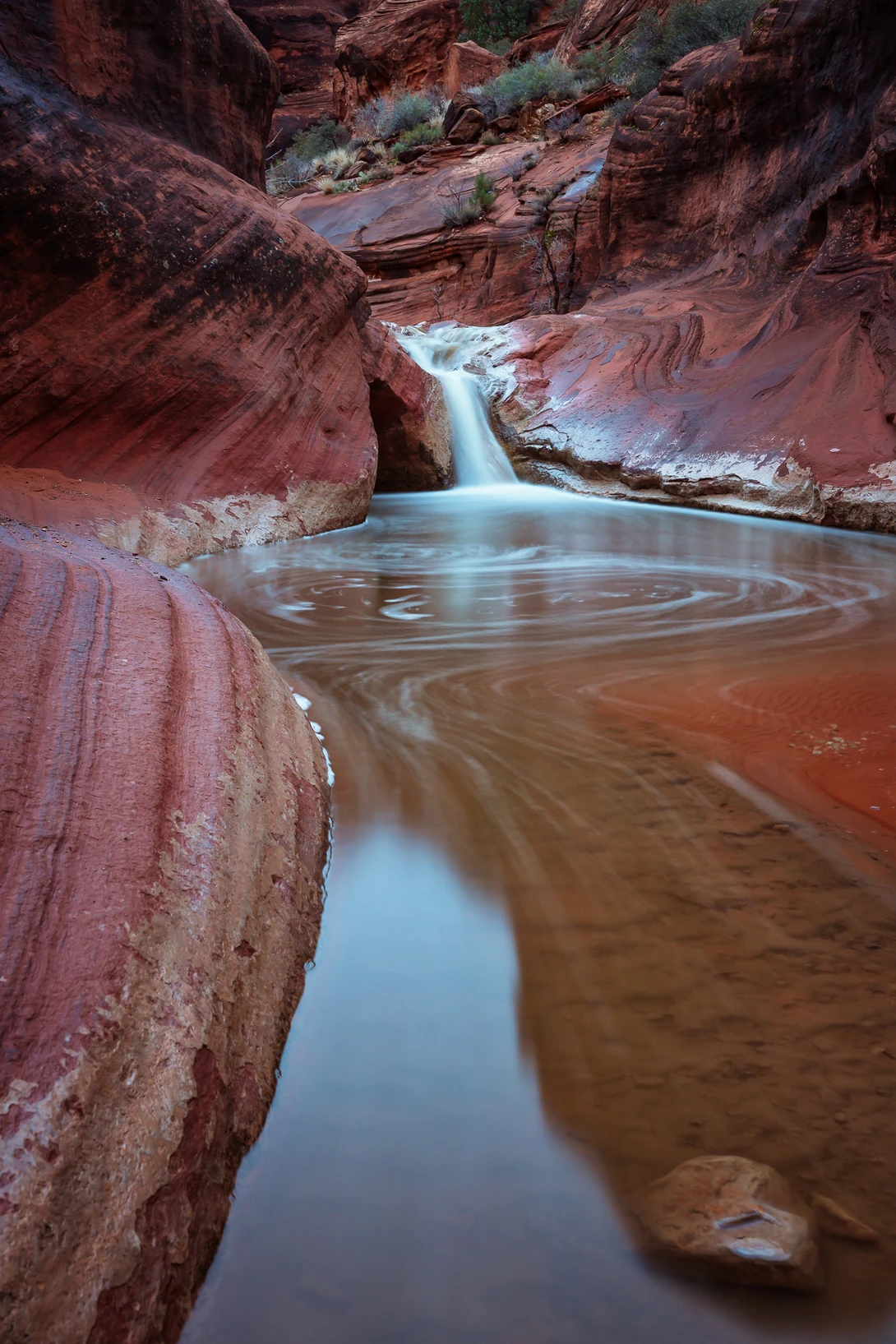 View Red Cliffs by Rex Jones