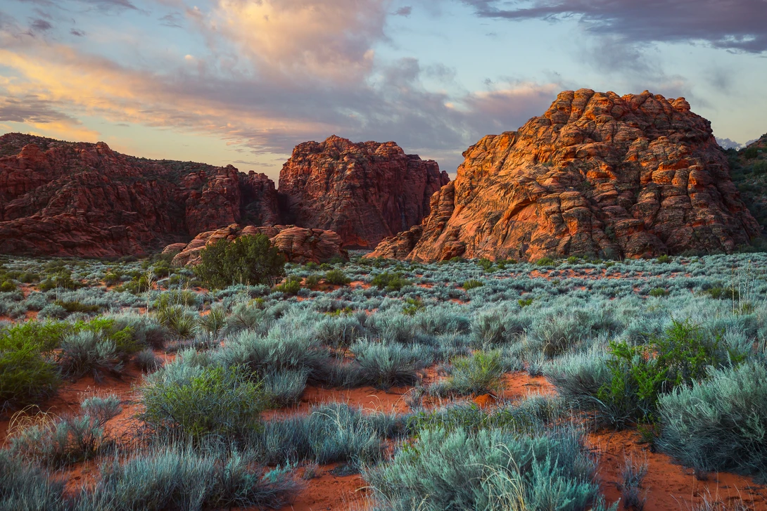 View Snow Canyon by Rex Jones