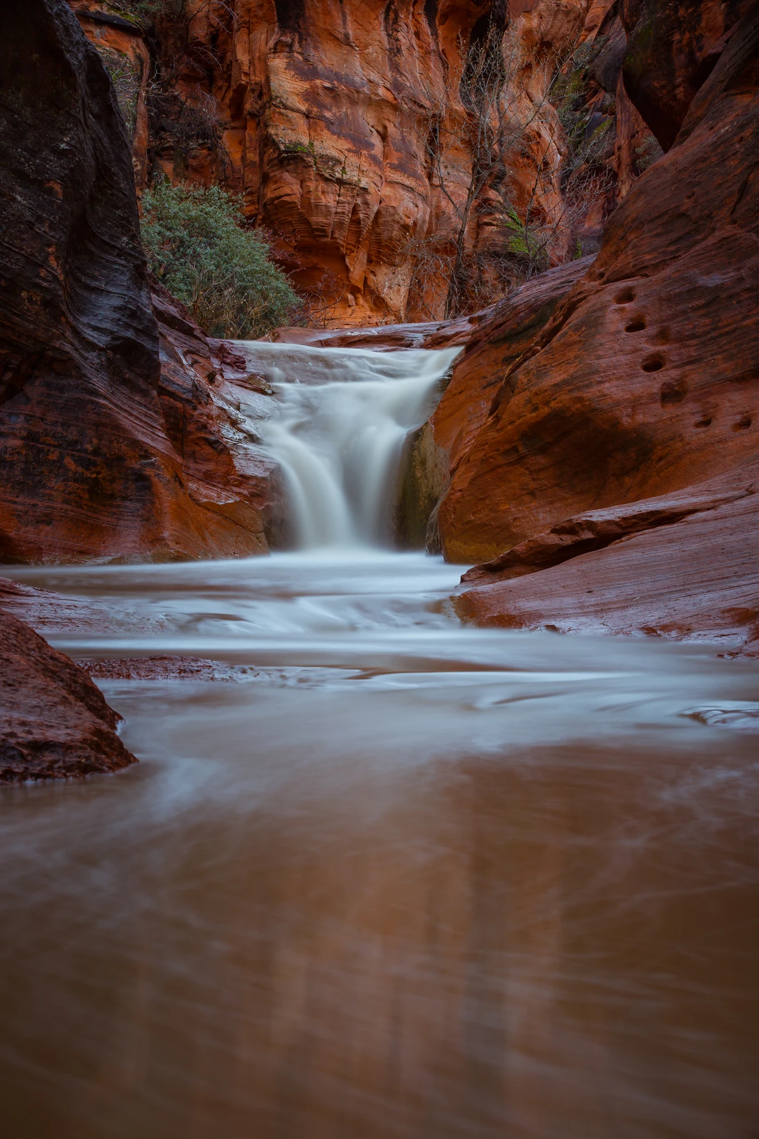View Red Cliffs by Rex Jones