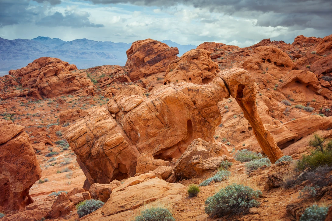 View c12179028d2ccee0f53e3cbabf902baf.jpg by Rex Jones