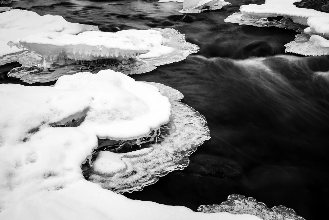 View 0bddb440c13e217cb29e8c3ea1669753.jpg by Michael Lacy