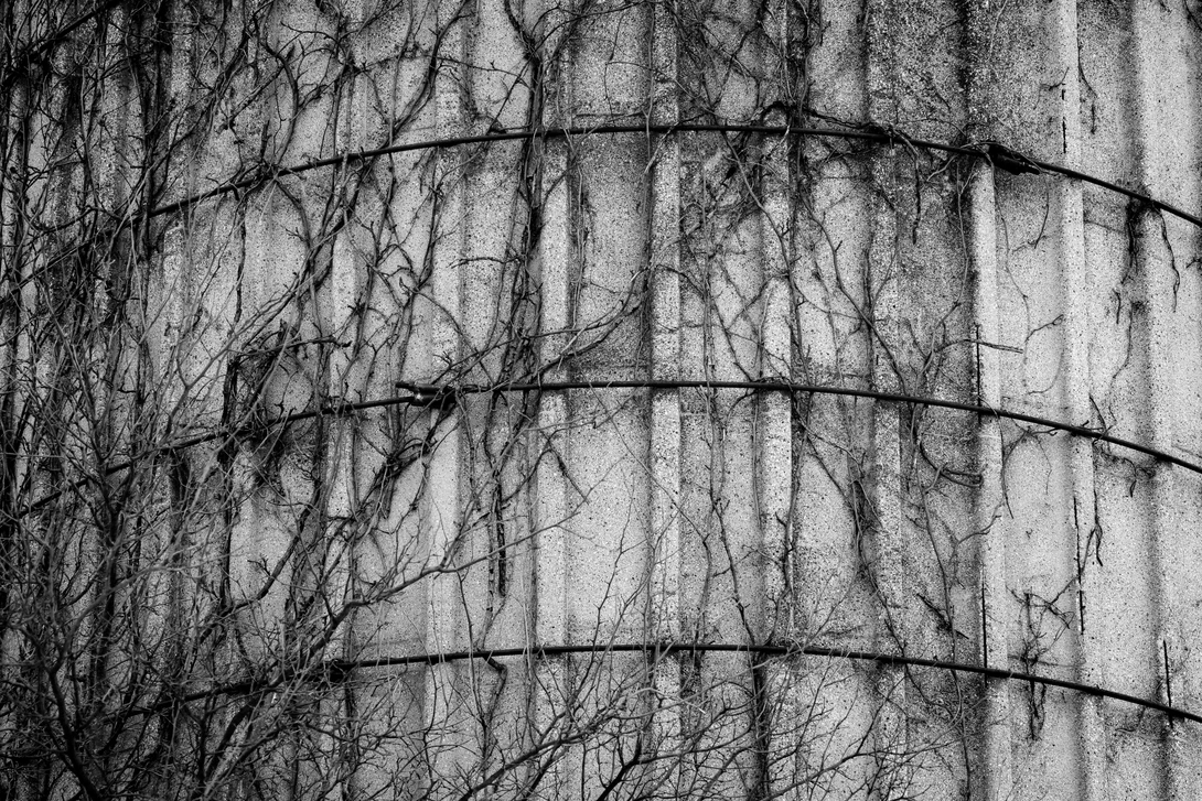 View 8d5de2c2d254ccbdba2ef6e32d20e44e.jpg by Michael Lacy