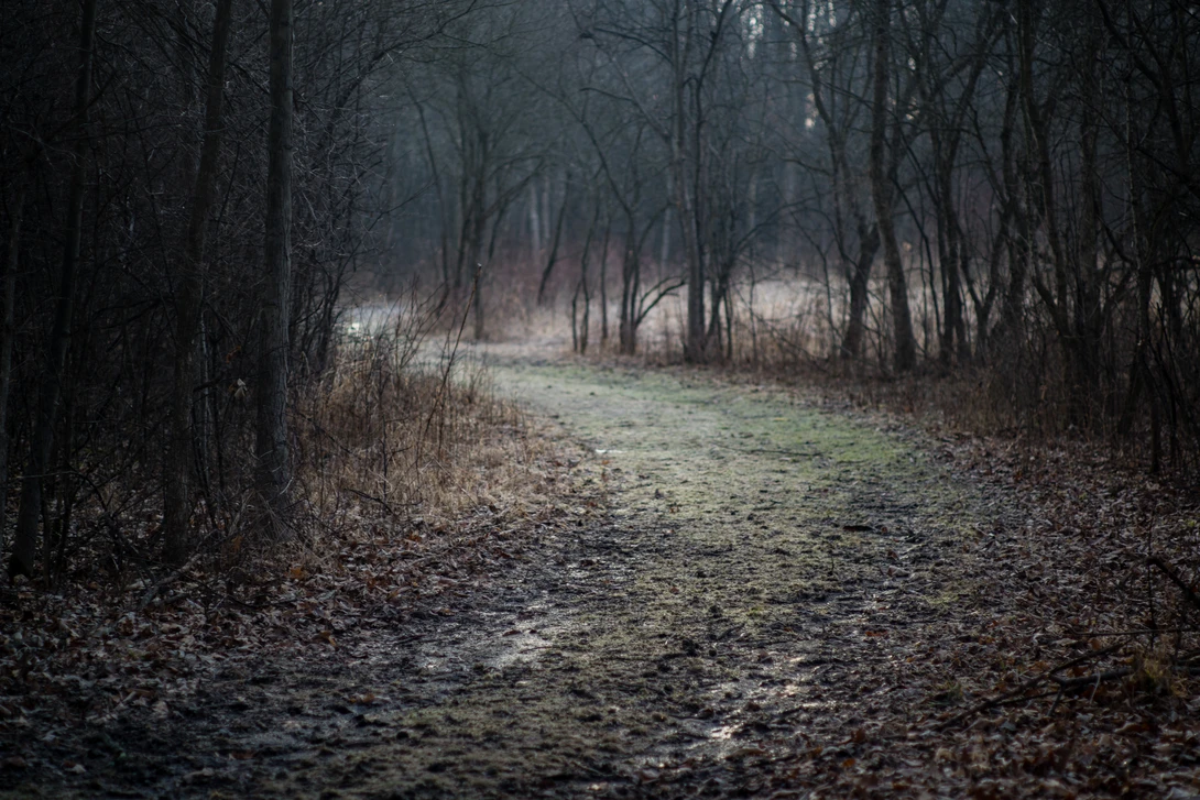 View c895210f6a387b00b4d62547b10632da.jpg by Michael Lacy