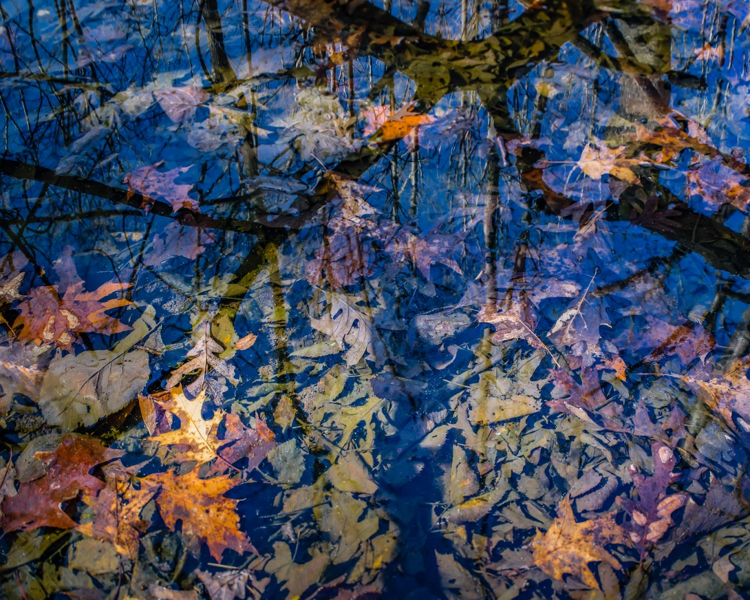 View bde4bdfbf93e537a9b3ba74e3edf9b3a.jpg by Michael Lacy