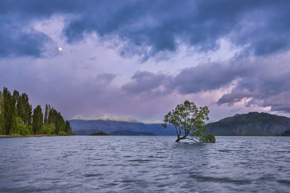 View c7dd5240c2df4c4dce240783ad93485e.jpg by Patrick Luchsinger
