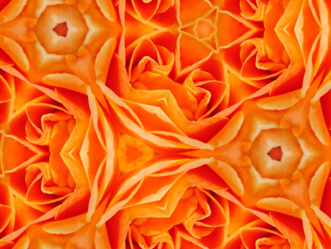 View d843ee511b0827bce23e005f78486b83.jpg by Alice Greentree