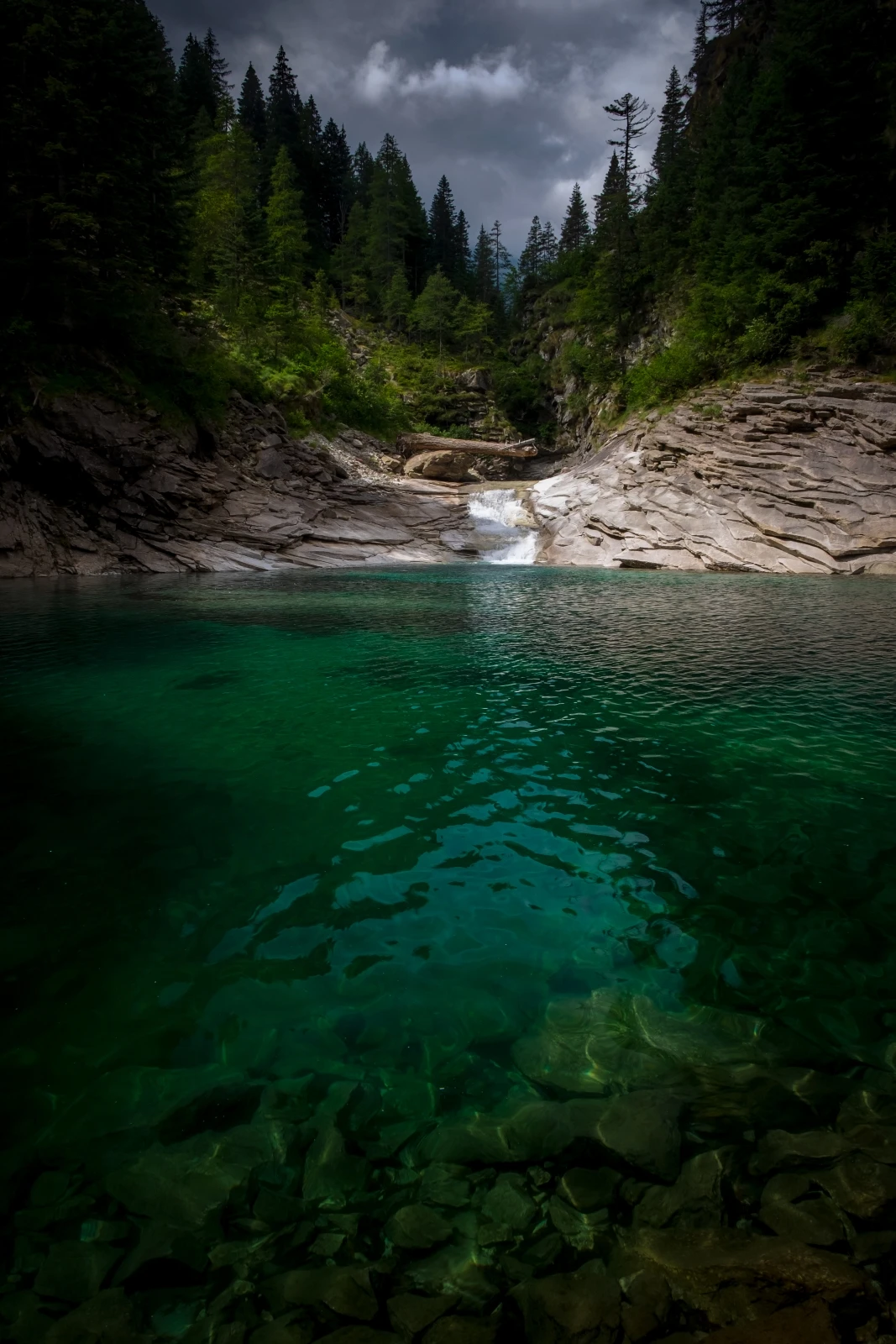 View The Green V by Andrea Re Depaolini