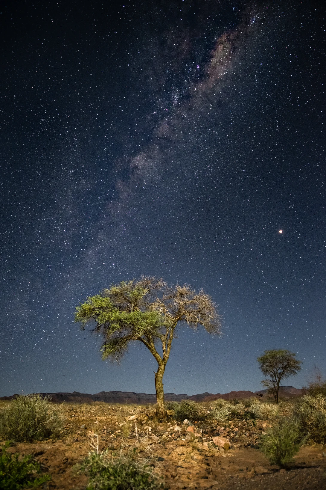 View Moonlit by Andrea Re Depaolini
