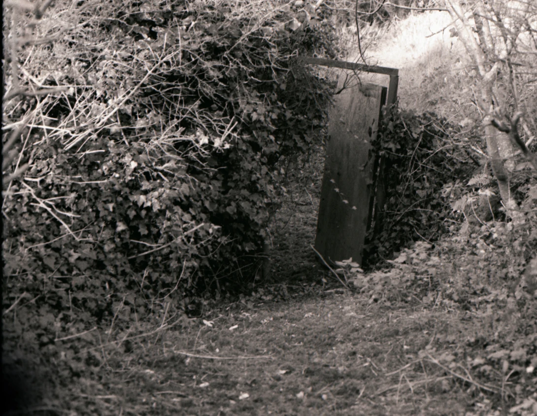 View b3459aece0e91be3d2e3ee5e34261f4d.jpg by Darragh Sinnott