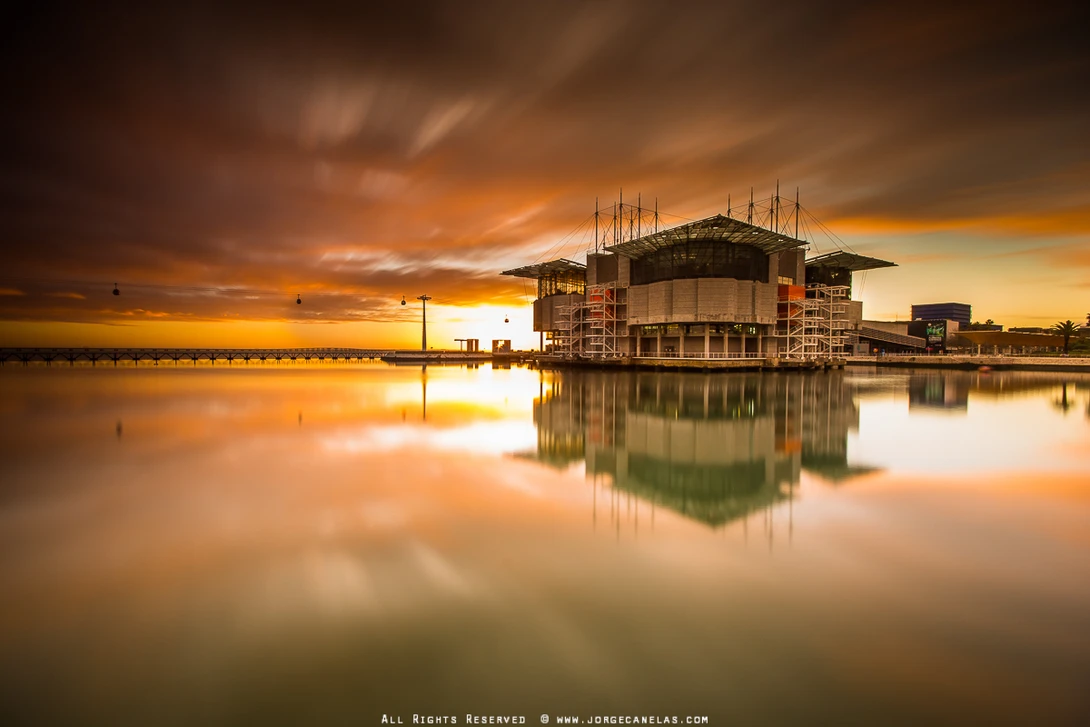 View 28fd8556b89b4a0b9b9d959f96c8322b.jpg by Jorge Canelas