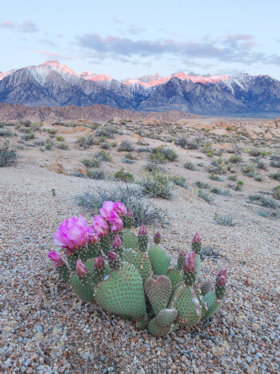 View 5f26be57555b4eb2a259a85e73c40d99.jpg by Kevin Shoban