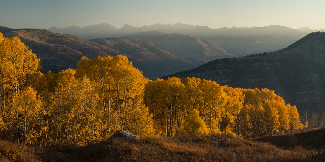 View Meadow Mountain Sunrise. by Rory Gallagher