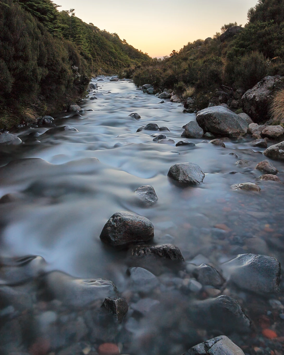View 8f7813e886f11f1ba3cab1bc9026fff5.jpg by Jason Retter