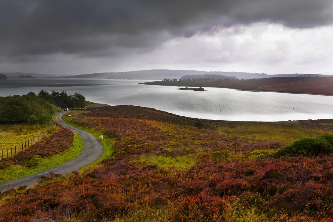 View 9f4573dab8b2189c9dd340b5c4f9c5ad.jpg by Charlie Waltho