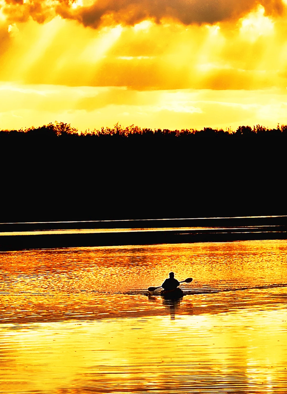 View Kayaker on the Potomac River at sunset by Bill Jonscher