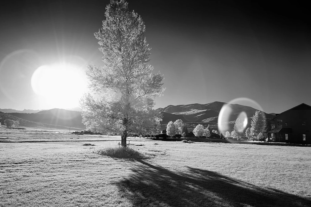 View 37a6f4bbacc8e778cb13b7a3df2bf45c.jpg by Shaunessey Peck