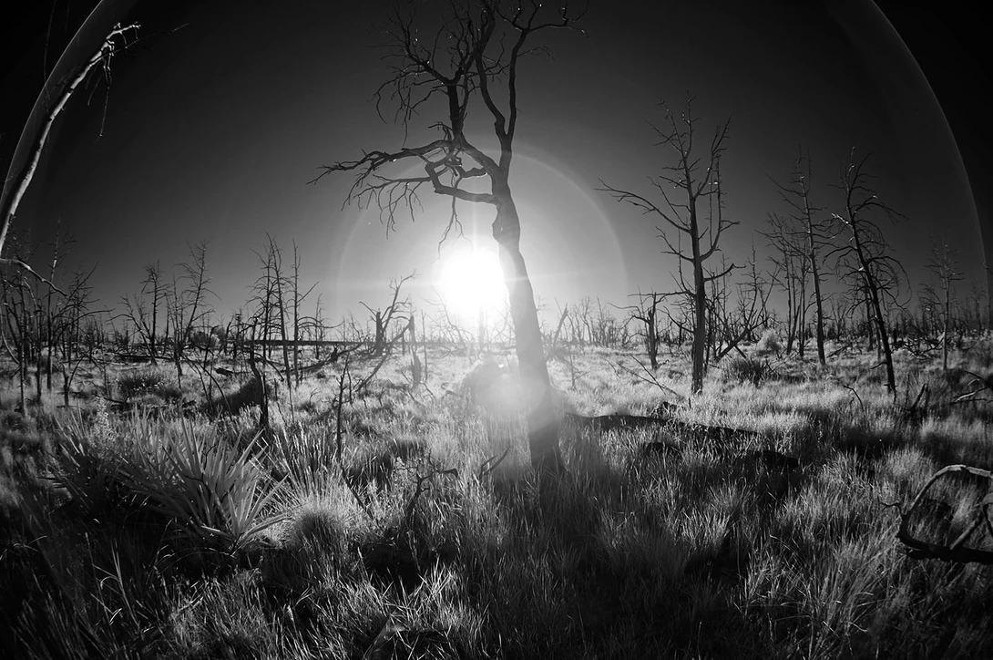 View 6db936ed6766b8b9d8305aa47d6d8972.jpg by Shaunessey Peck