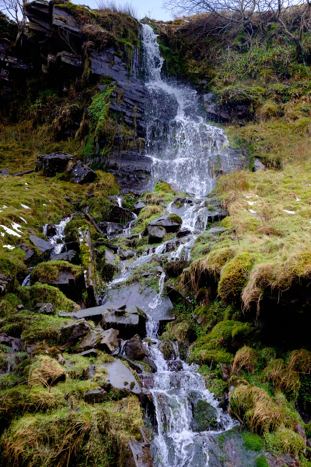 View 5c8f6d07f0d579e6d54ff30b7ad7a55c.jpg by Dexter Robinson