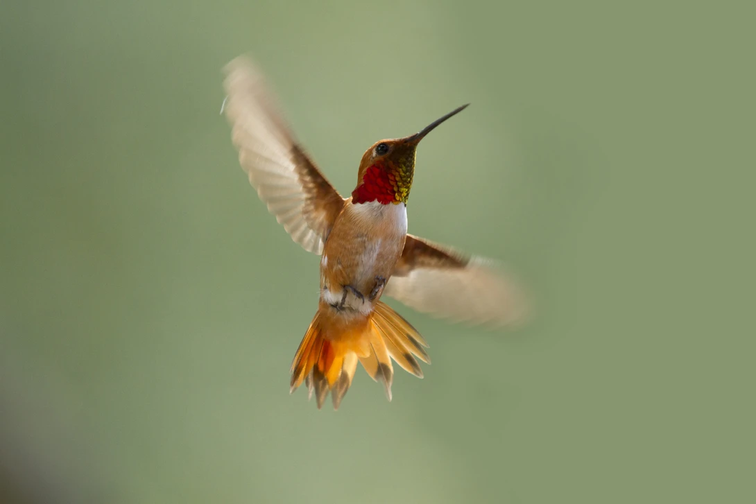 View b98aeb159dd4e3813cb6d627fd051f55.jpg by Michael Rowlandson