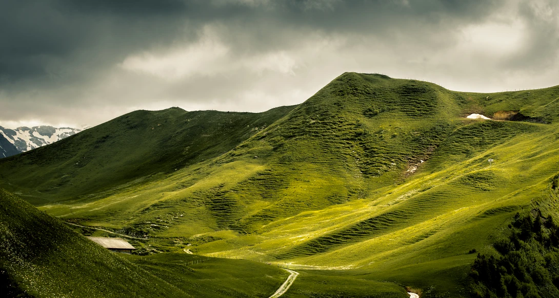 View Green Land by Christin Necker