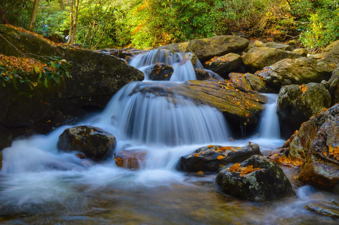 View 422ff24f6df2c69e82981c1704ee1c2f.jpg by MIke Hesslau