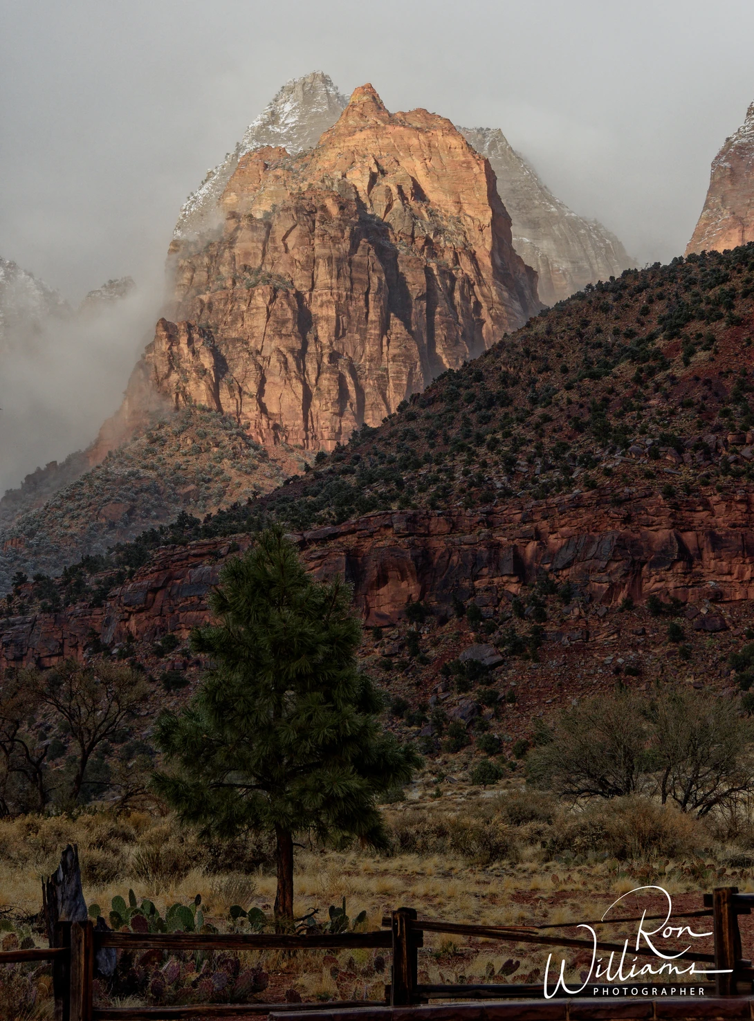 View Morning Grandeur by Ron Williams