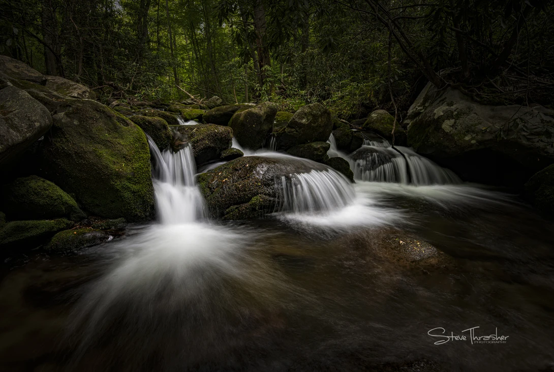 View Nature at it's best by Steve Thrasher