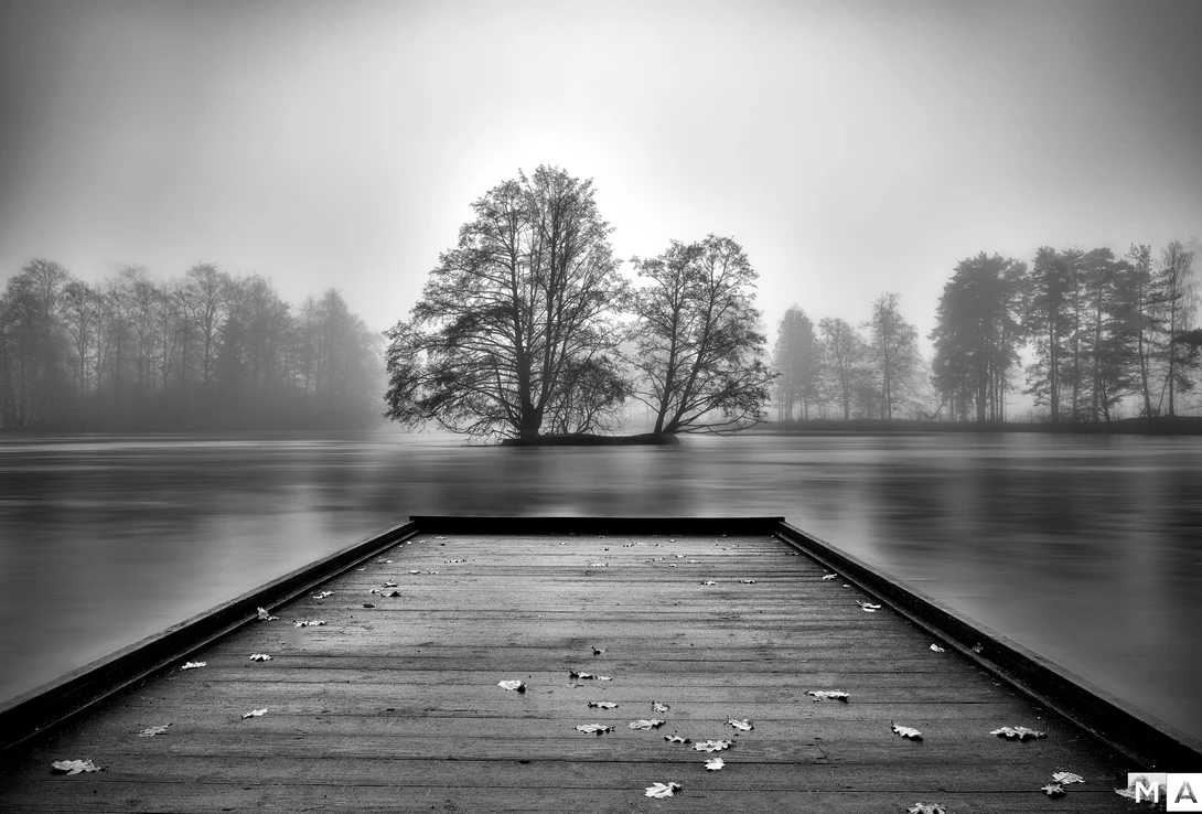 View fc8060cc333241a4658f7824da77df12.jpg by Marco Alves