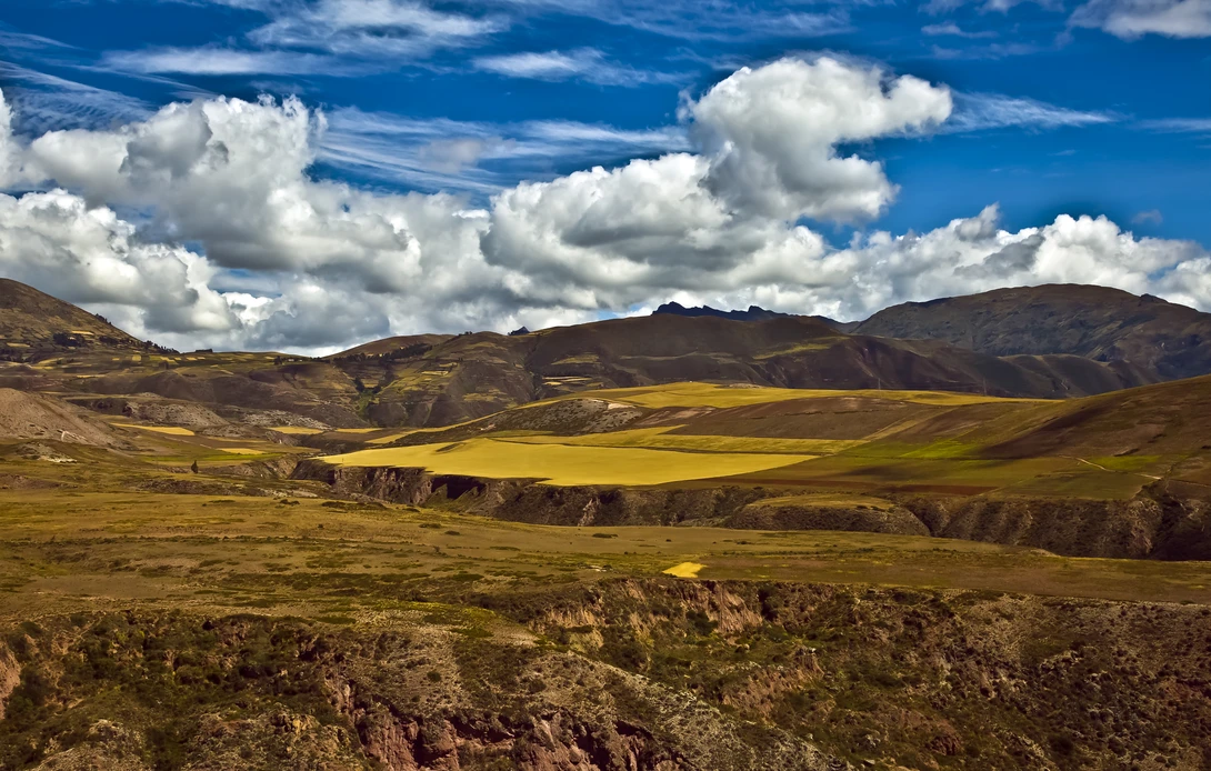 View 5266c92f438a2b632e366e22537a61ee.jpg by EL PIC
