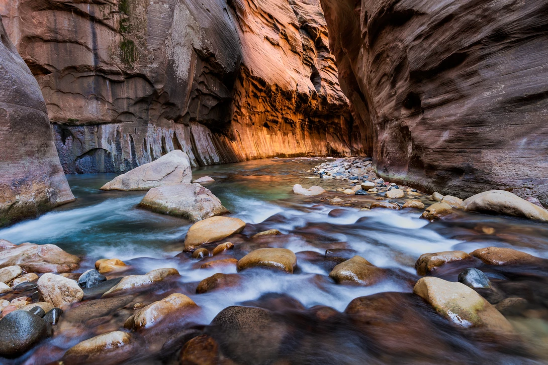 View Zion Narrows Glow by Dan McCloud