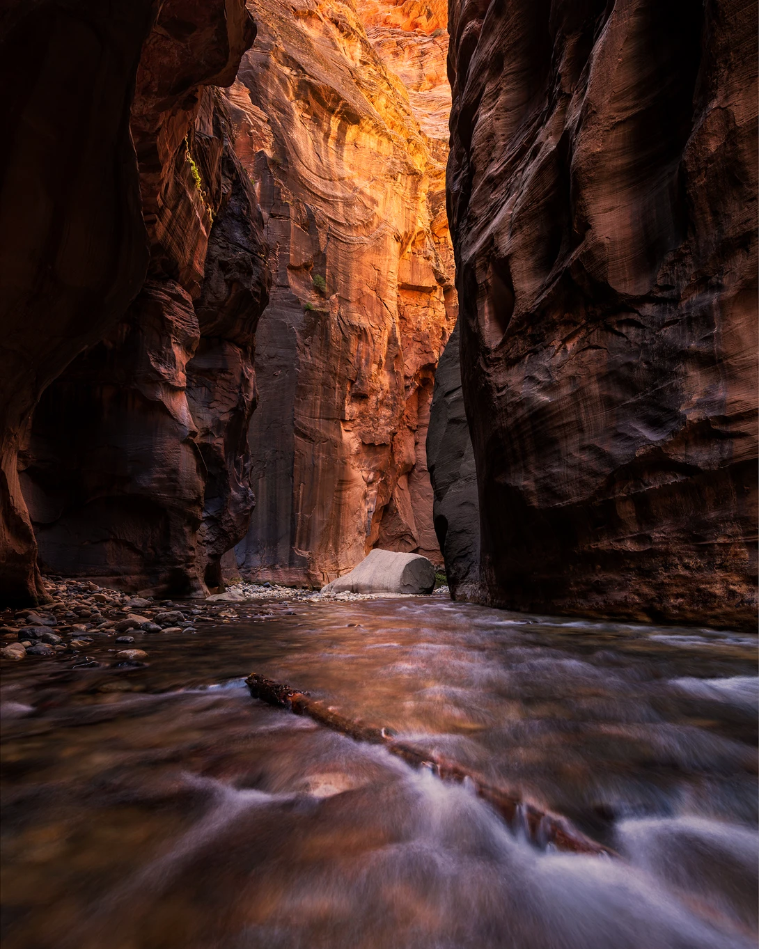 View Zion Narrows Floating Rock by Dan McCloud
