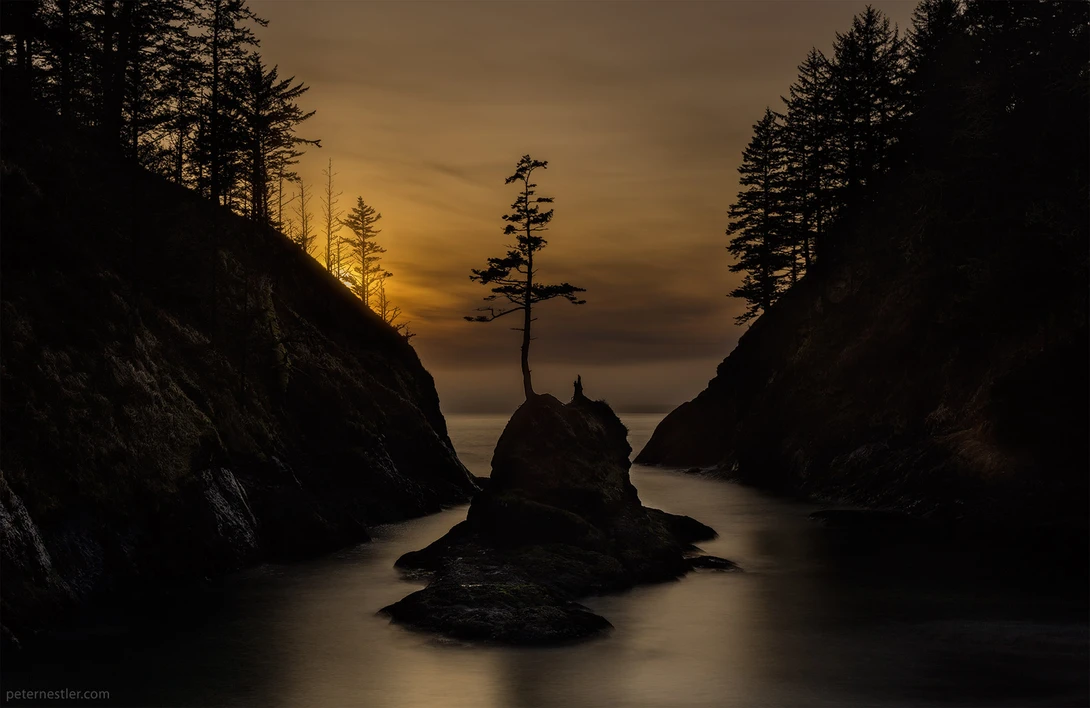 View Deadman's Cove by Peter Nestler