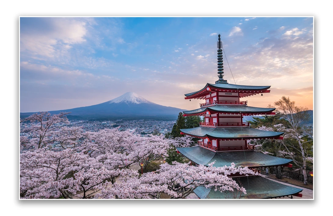 View Spring Dreaming by Musashi Sakazaki