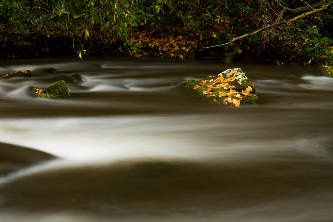 View 17e594f69e299a3a82de2647153fc071.jpg by Matt Caporale