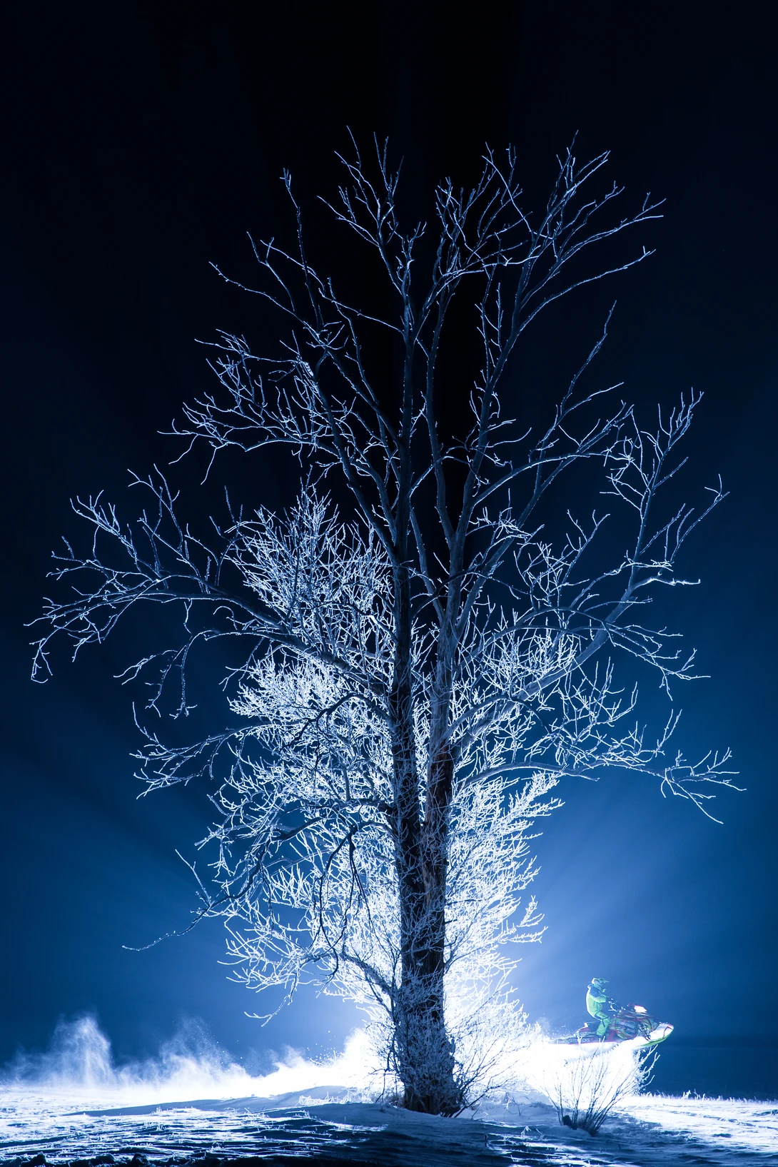 View Blue Moon by Brendon Fidek