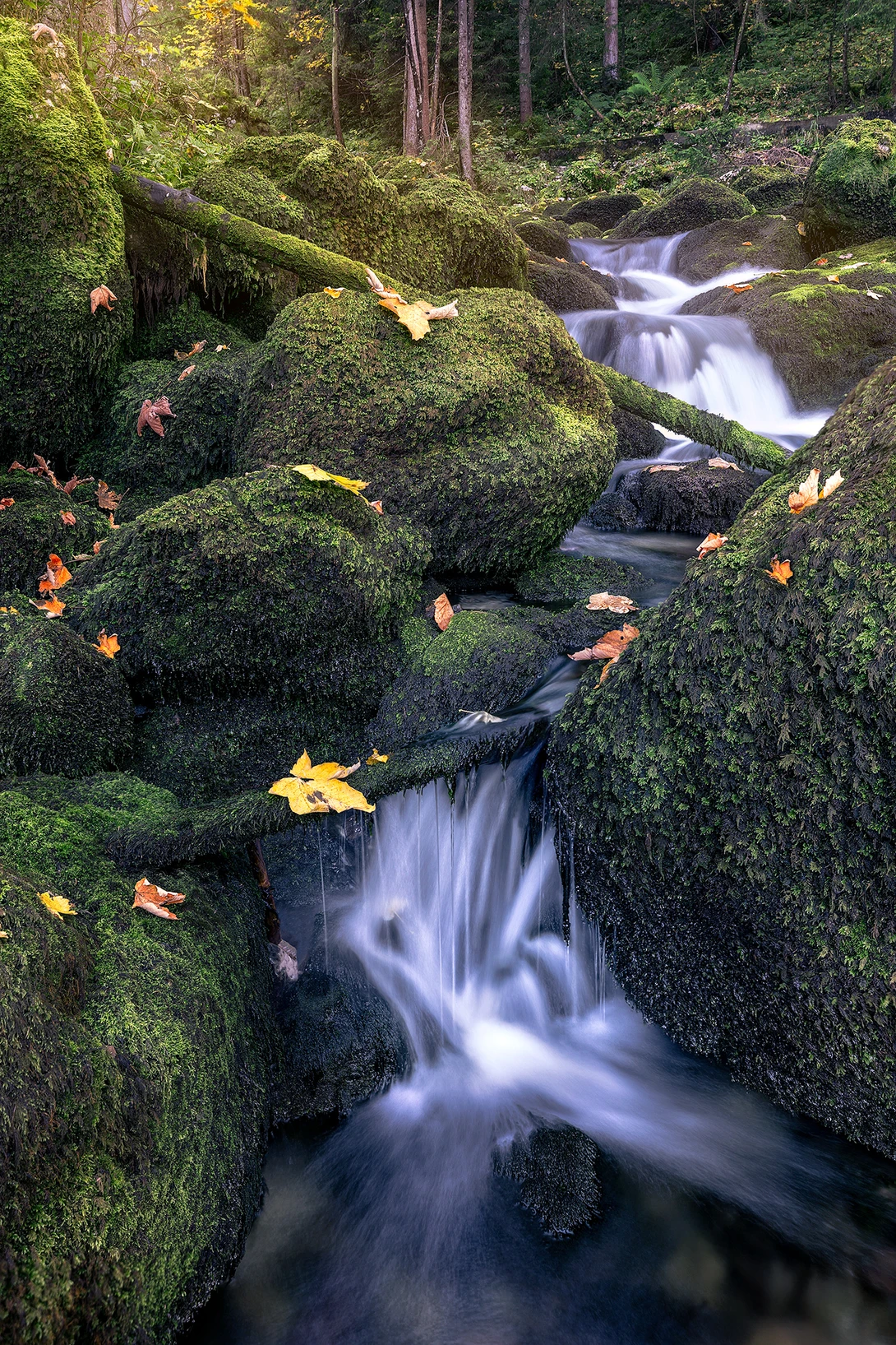 View Gollinger Stream by Mikkel Beiter