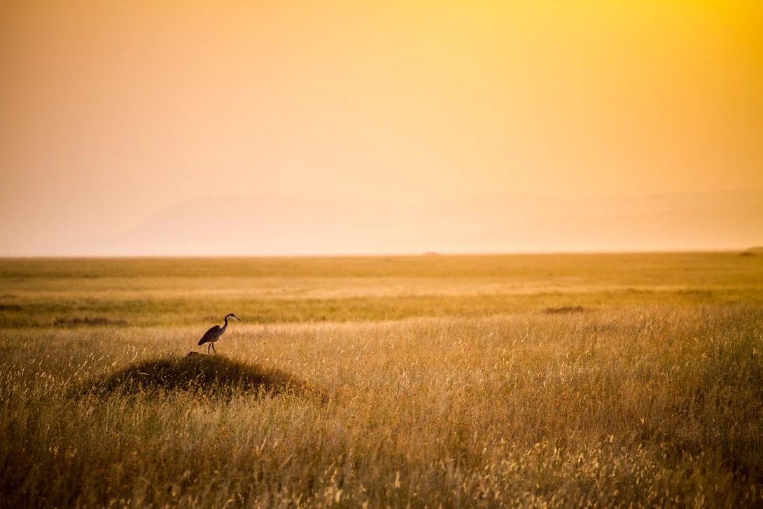 View 746501a1e6207111ad83f3b088461ea7.jpg by Mikkel Beiter