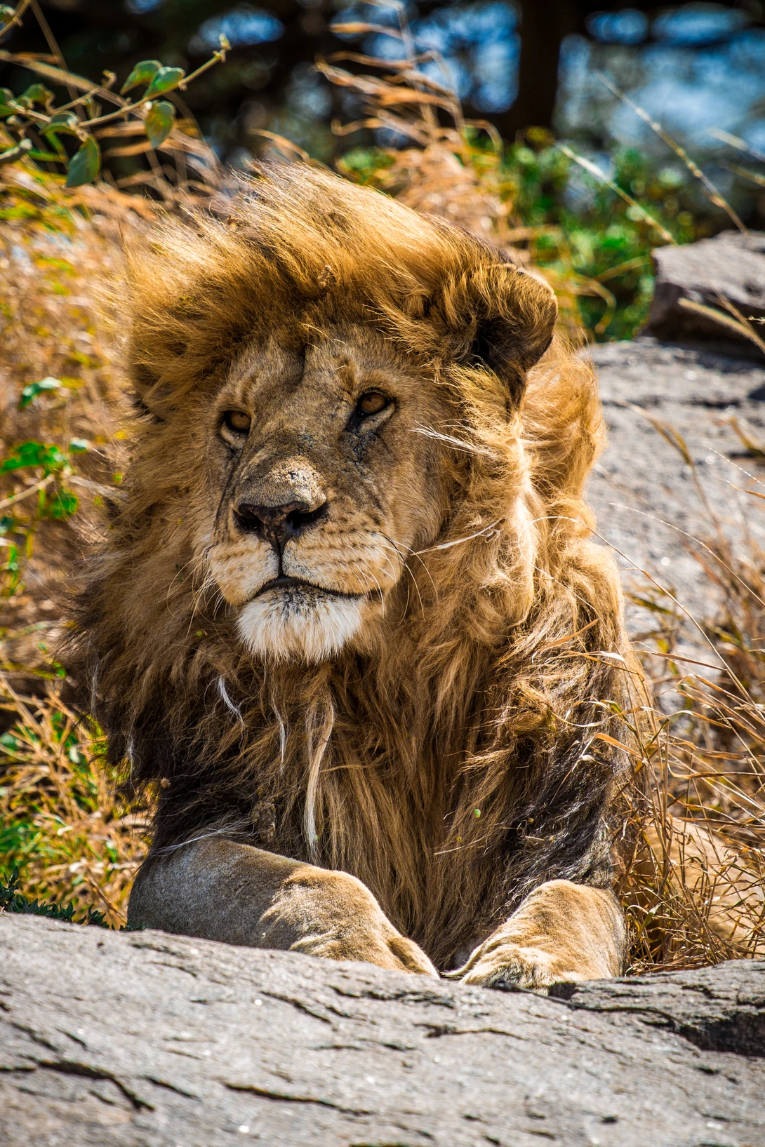 View 9a22e4947590cfaa1341372051c82bf7.jpg by Mikkel Beiter