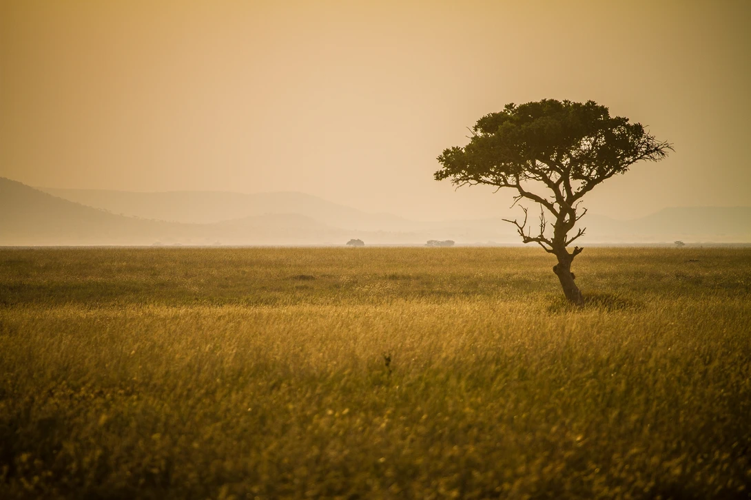 View db122fa01222756107a0c3ff44955502.jpg by Mikkel Beiter