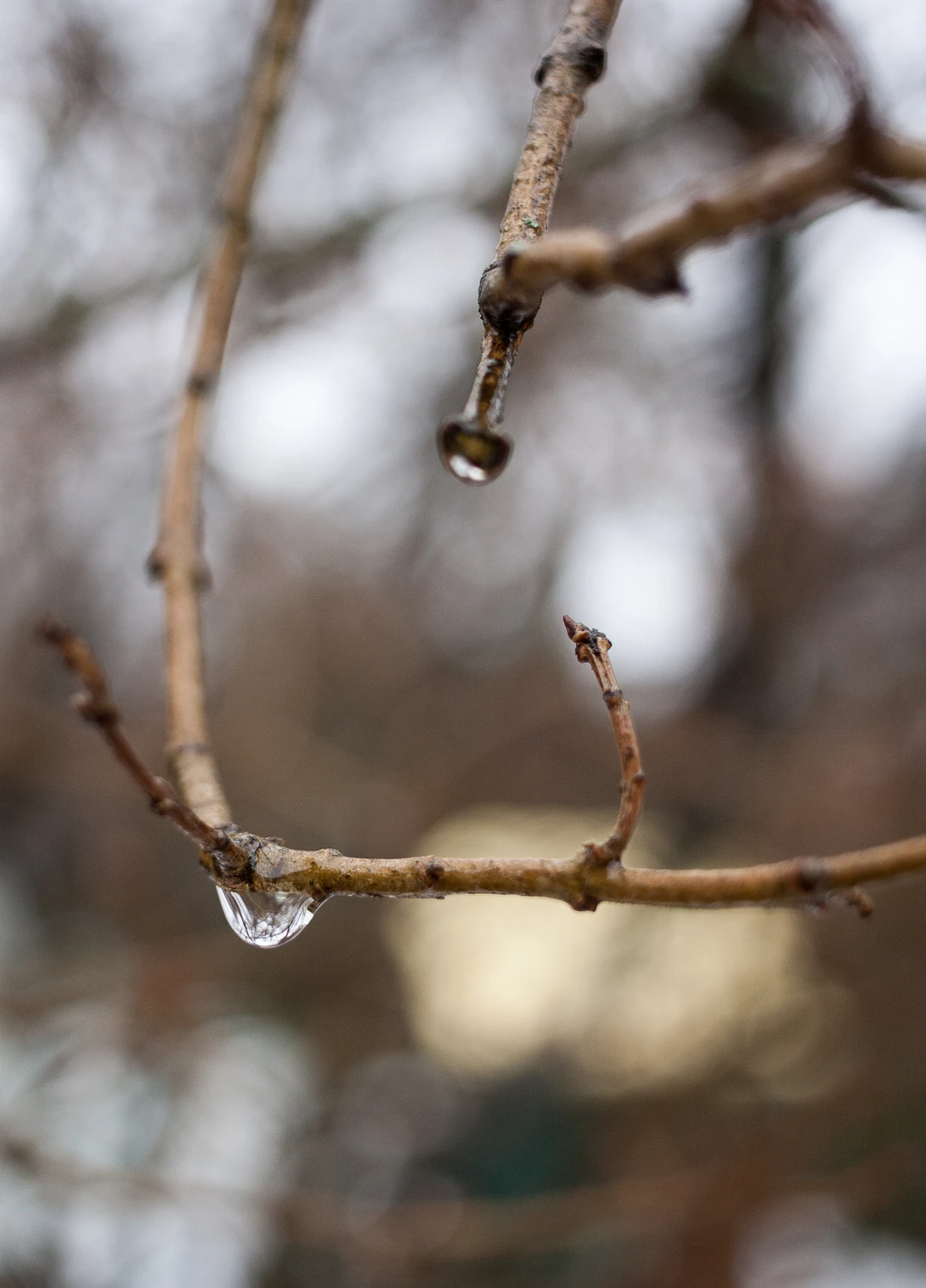 View 2b35fd0a23202f9b360158f070c0ff79.jpg by Tyler Newcomb