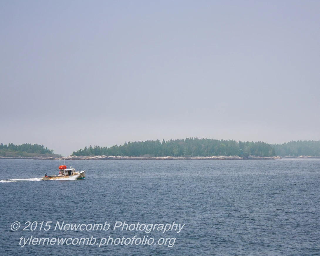View 19c10446ac87b29791a2ddc31d2eda22.jpg by Tyler Newcomb