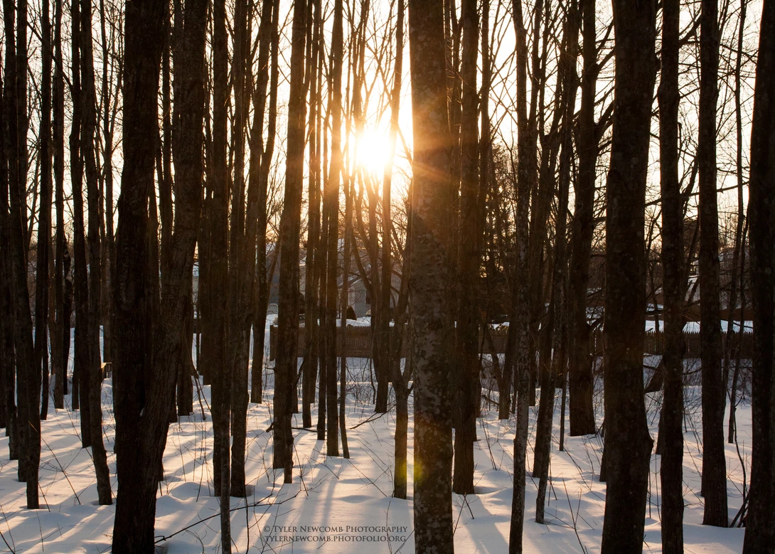 View ac0527aaa93b4b4a1666fbe5e48e76d4.jpg by Tyler Newcomb