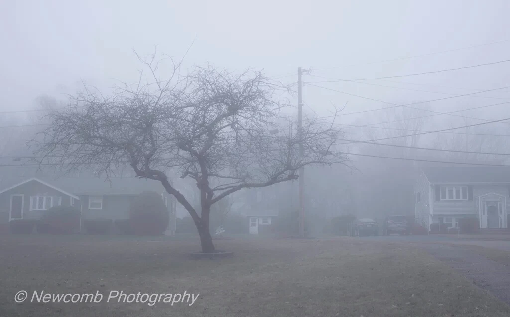 View a3a40c04fc89d0e971f490e2afba72da.jpg by Tyler Newcomb