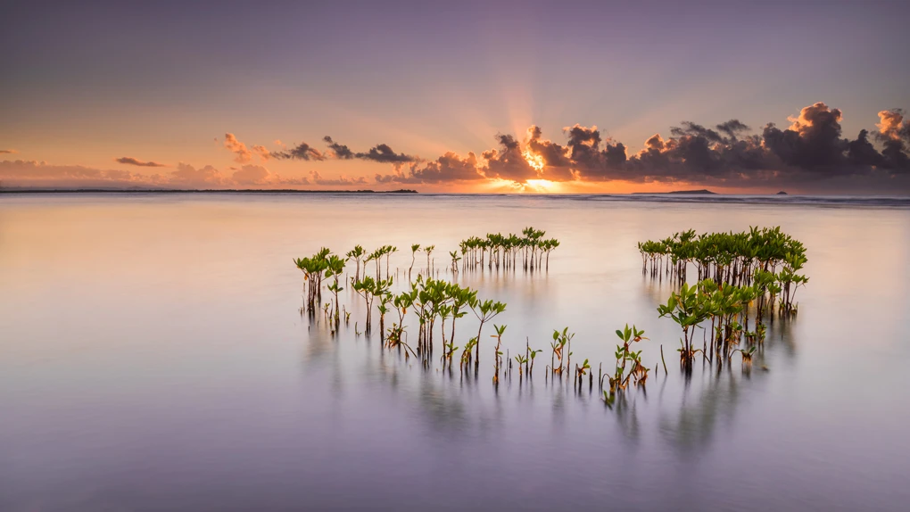 View "Light Reunion" by Carlos Carmona