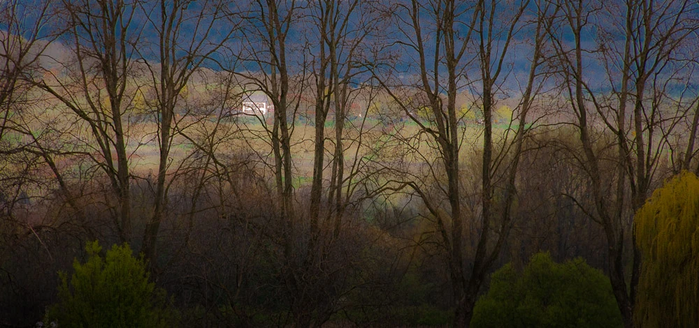 View 5038b95356459257f8e98a8e45fbb677.jpg by David Peruzzini
